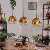 Ripoll Hanglamp Goud, Duidelijk, 3-lichts