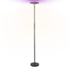 Ledvance Wifi Staande lamp LED Zwart, 1-licht, Kleurwisselaar