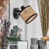 Ramila Wandlamp, Muurspot Zwart, 1-licht