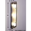 Fischer & Honsel lampen 300 Wandlamp Chroom, Transparant, Helder, 3-lichts