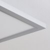 Colminy Plafondpaneel LED Zilver, 1-licht
