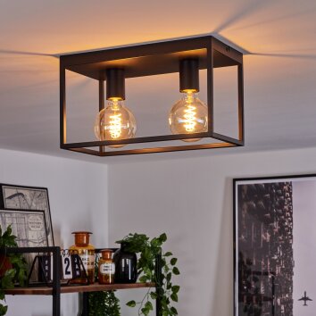 Malao Plafondlamp, 2-lichts