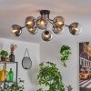 Gastor Plafondlamp 87 cm Duidelijk, Rookkleurig, 8-lichts