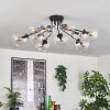 Gastor Plafondlamp 83 cm Duidelijk, 10-lichts