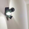 Emmerlev Buiten muurverlichting LED Zwart, 2-lichts, Bewegingsmelder