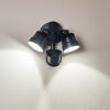 Emmerlev Buiten muurverlichting LED Zwart, 2-lichts, Bewegingsmelder