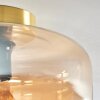 Boza Plafondlamp Amber, Duidelijk, 1-licht