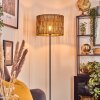 Cando Staande lamp Zwart, 1-licht