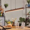 Carbellino Hanglamp LED Donkerbruin, Zwart, 1-licht