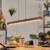 Carbellino Hanglamp LED Wit, 1-licht