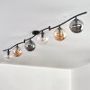Gastor Plafondlamp, Kogellampje Amber, Duidelijk, Rookkleurig, 6-lichts