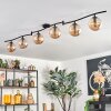 Gastor Plafondlamp, Kogellampje Amber, 6-lichts