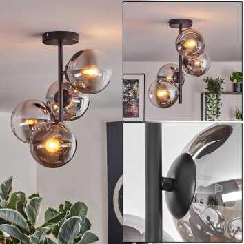Gastor Plafondlamp, Kogellampje Chroom, Duidelijk, Rookkleurig, 4-lichts