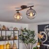 Gastor Plafondlamp, Kogellampje Amber, Duidelijk, Rookkleurig, 2-lichts