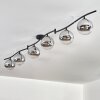Gastor Plafondlamp, Kogellampje Chroom, Duidelijk, Rookkleurig, 6-lichts
