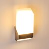 Clear Buiten muurverlichting LED Nikkel mat, 1-licht