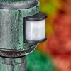 Loria Buitenlicht, Pad licht Groen, Zwart, 1-licht, Bewegingsmelder