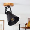 Berkeley Plafondlamp Hout donker, Zwart, 1-licht