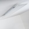 Deckenleuchte Plafondlamp, Paneel LED Wit, 1-licht, Afstandsbediening, Kleurwisselaar