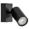 Ledvance Spot Plafondlamp, Plafondspot LED Zwart, 1-licht