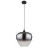 Globo Maxy Hanglamp Zwart, 1-licht