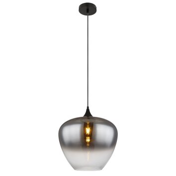 Globo Maxy Hanglamp Zwart, 1-licht