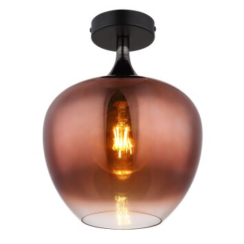 Globo Maxy Plafondlamp Chroom, Zwart, 1-licht