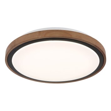 Globo Bruno Plafondlamp LED Bruin, Zwart, 1-licht