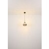 Globo Firefly Hanglamp LED Zwart, 1-licht