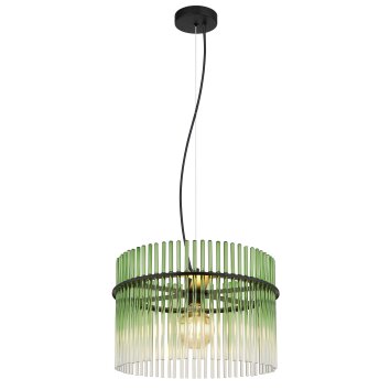 Globo Gorley Hanglamp Zwart, 1-licht