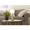 Globo Pinpal Tafellamp Messing, 1-licht