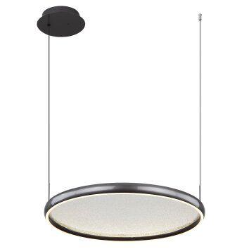 Globo Briggs Hanglamp LED Zwart, 1-licht, Afstandsbediening