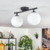 Gastor Plafondlamp, Kogellampje Wit, 2-lichts