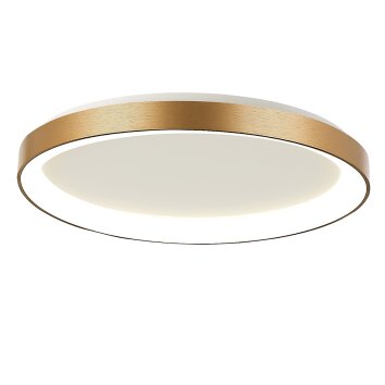 steenhouwer Ringlede Plafondlamp LED Goud, 1-licht