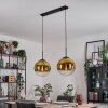 Gastor Hanglamp, Kogellampje, Hanglamp Goud, Duidelijk, 2-lichts