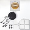Koyoto Hanglamp, Kogellampje, Hanglamp 35 cm Goud, Duidelijk, 4-lichts