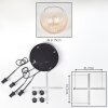 Koyoto Hanglamp, Kogellampje, Hanglamp Amber, Duidelijk, 4-lichts