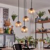 Koyoto Hanglamp, Kogellampje, Hanglamp Amber, Duidelijk, 4-lichts