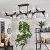 Gastor Plafondlamp, Kogellampje Duidelijk, 10-lichts
