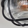 Godel Plafondlamp voor buiten, Plafondlamp Zwart, 1-licht