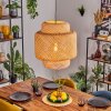 Vireda Hanglamp, Hanglamp Zwart, 1-licht