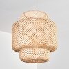Vireda Hanglamp, Hanglamp Zwart, 1-licht