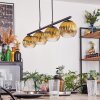 Koyoto Hanglamp, Kogellampje, Hanglamp Goud, Duidelijk, 4-lichts
