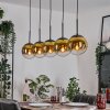 Gastor Hanglamp, Kogellampje, Hanglamp Goud, Duidelijk, 5-lichts