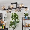 Gastor Plafondlamp, Kogellampje Amber, Duidelijk, Rookkleurig, 10-lichts
