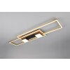 Trio verlichting ALBANY Plafondlamp LED Zwart-Goud, 1-licht, Afstandsbediening
