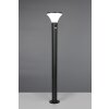 Reality Gorda Buiten staande lamp LED Zwart, 1-licht, Bewegingsmelder