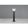 Reality Gorda Buiten staande lamp LED Zwart, 1-licht, Bewegingsmelder