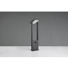 Trio verlichting Malawi Buiten staande lamp LED Antraciet, 1-licht, Bewegingsmelder
