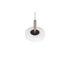 Trio verlichting Celeste Hanglamp LED Bruin, 1-licht
